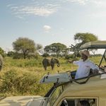 SafariHQ guide showing guests elephants during a game drive in Tanzania on a guided wildlife safari.