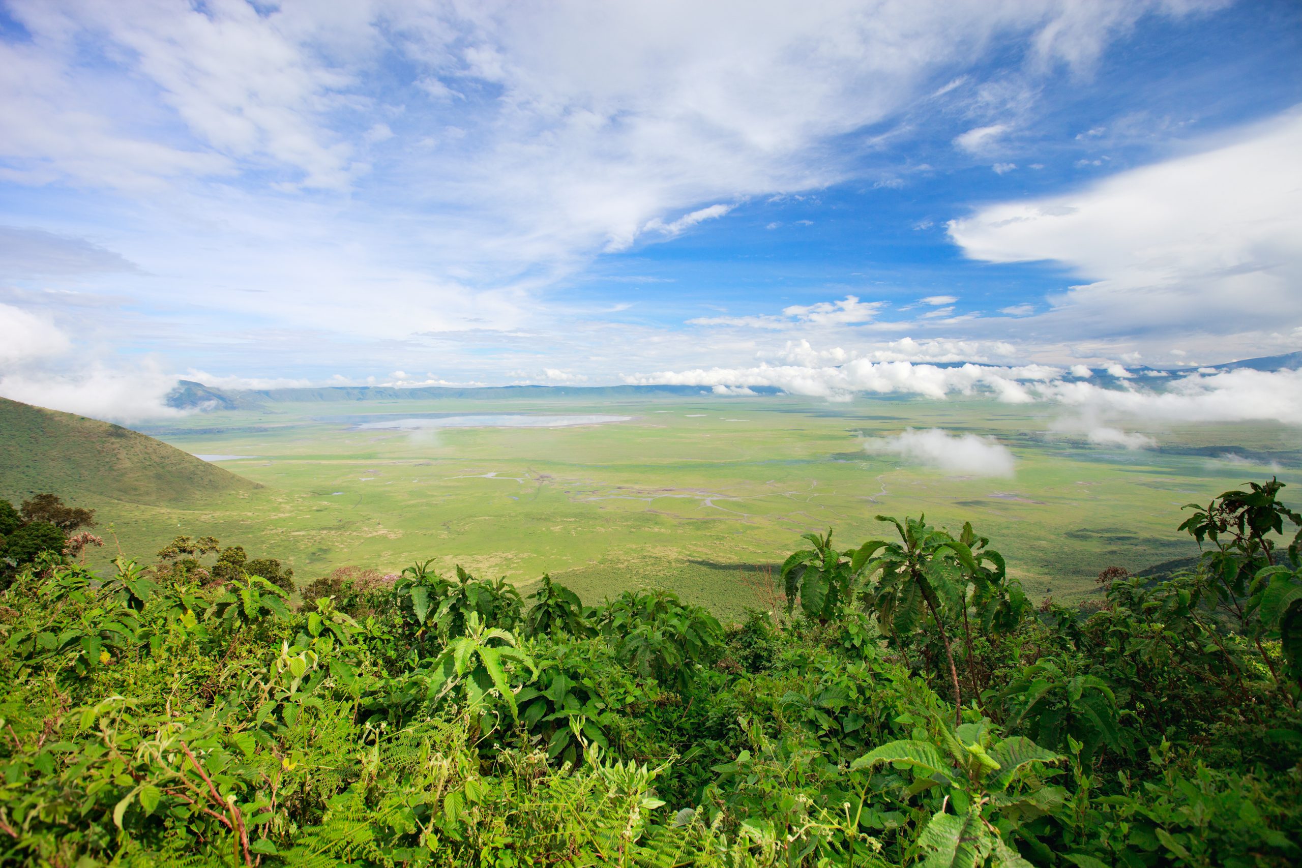 Aerial,View,Of,Ngorongoro,Crater,Conservation,Area,In,Tanzania