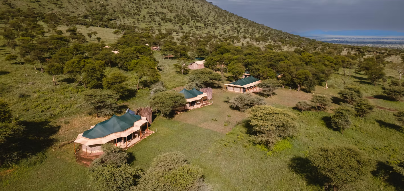 singing grass aerial view 2