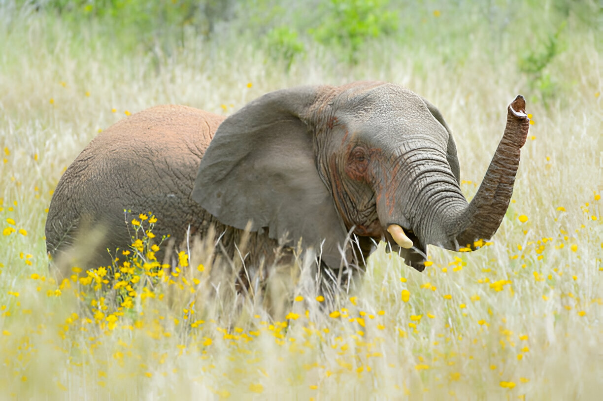 4-Days-Akagera-National-Park-Safari-Rwanda-7