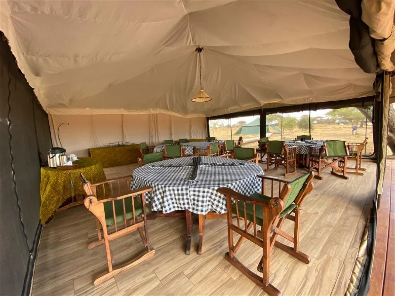 honeyguide_tarangire_camp_-_lounge