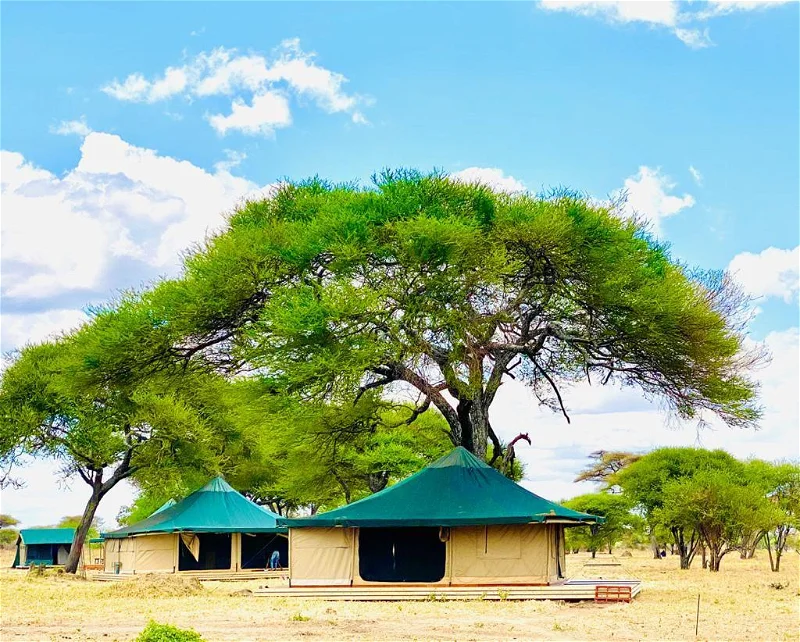 honeyguide_tarangire_camp_-_tanzania__3