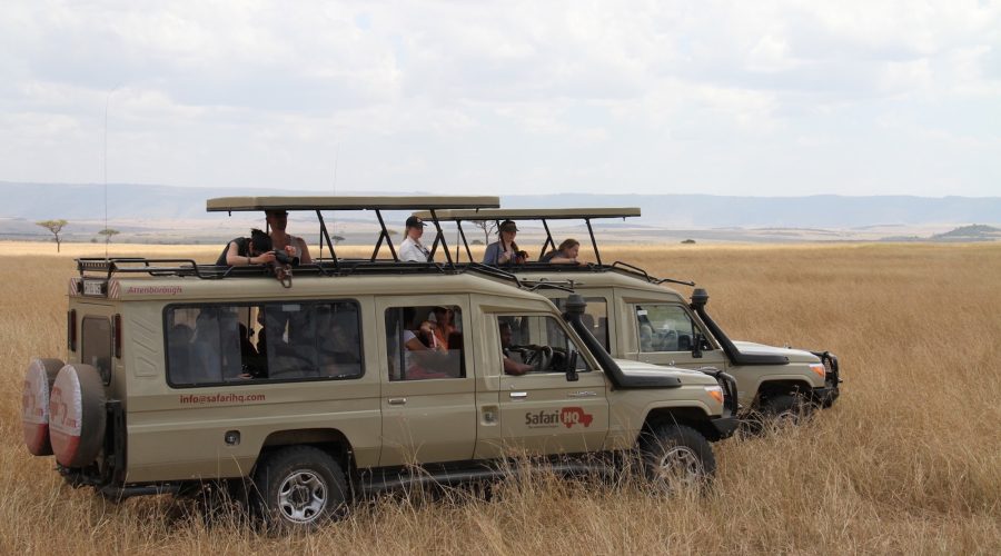 Group-Safari-Car