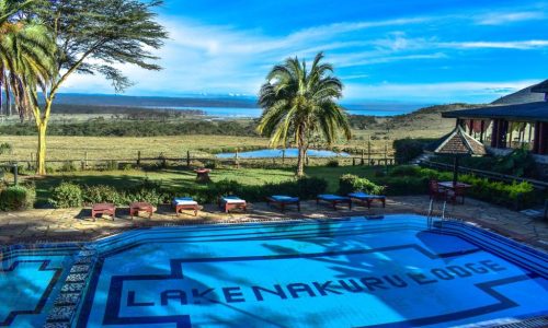 Lake Nakuru pool