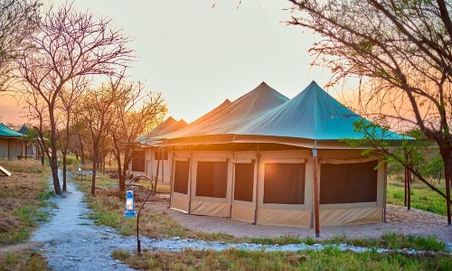 Moyo migration outside tent