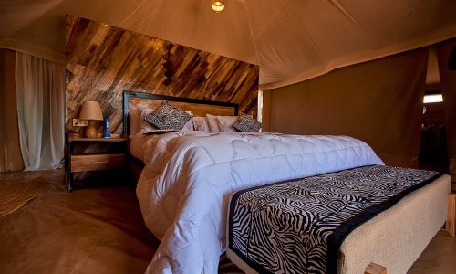 Moyo migration room