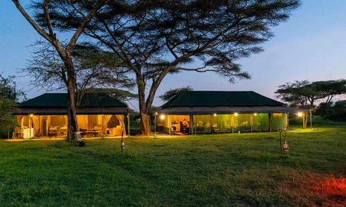 Ndutu heritage night lounge