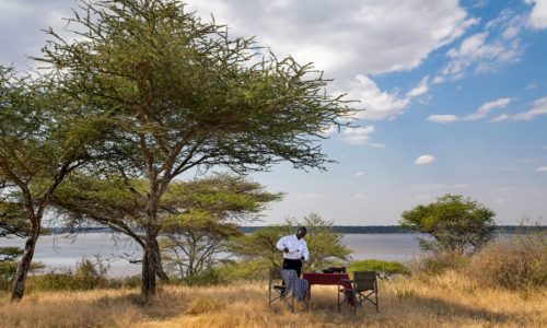 Nyikani Migration Lake Ndutu view