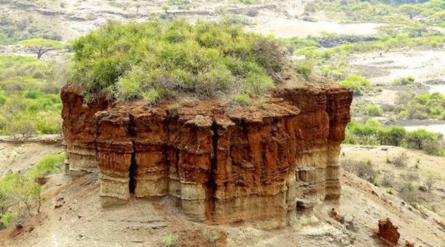 Olduvai gorge