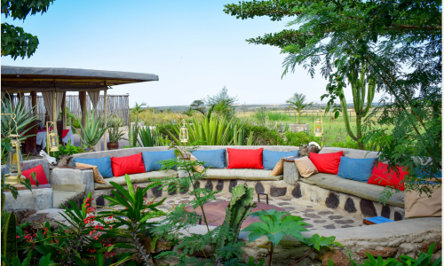 ZEbra plains firepit