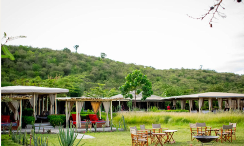 Zebra plains main house