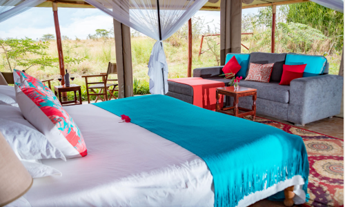 Zebra plains rooms