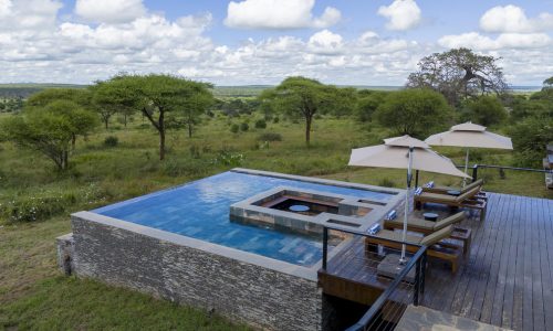elephant springs infinity pool