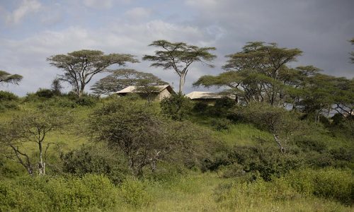 nyikani-migration-camp-A07-1